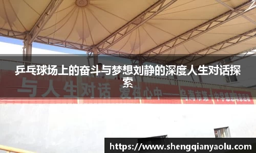 乒乓球场上的奋斗与梦想刘静的深度人生对话探索