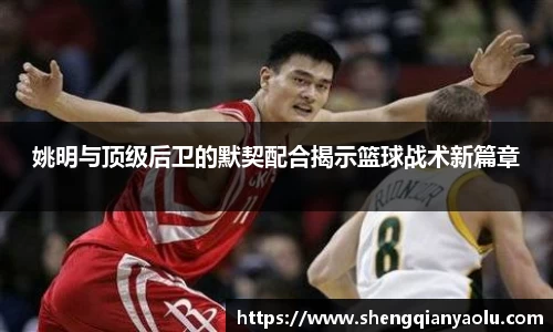 姚明与顶级后卫的默契配合揭示篮球战术新篇章